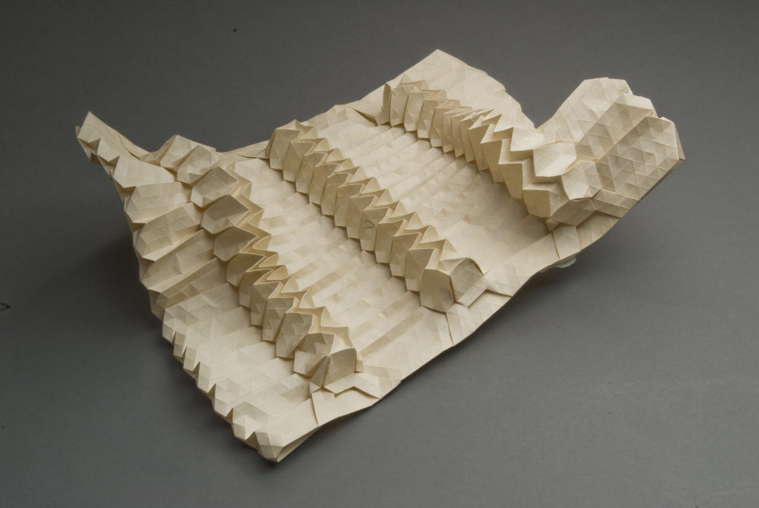 Eric_Gjerde-Vertebral_Stretch_1